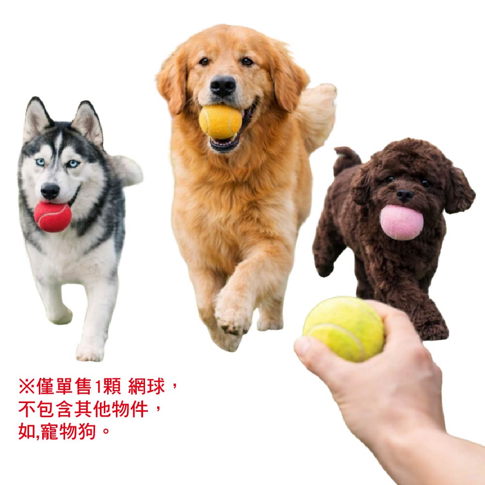 【全新 台灣現貨】寵物玩具BB叫網球｜單顆售