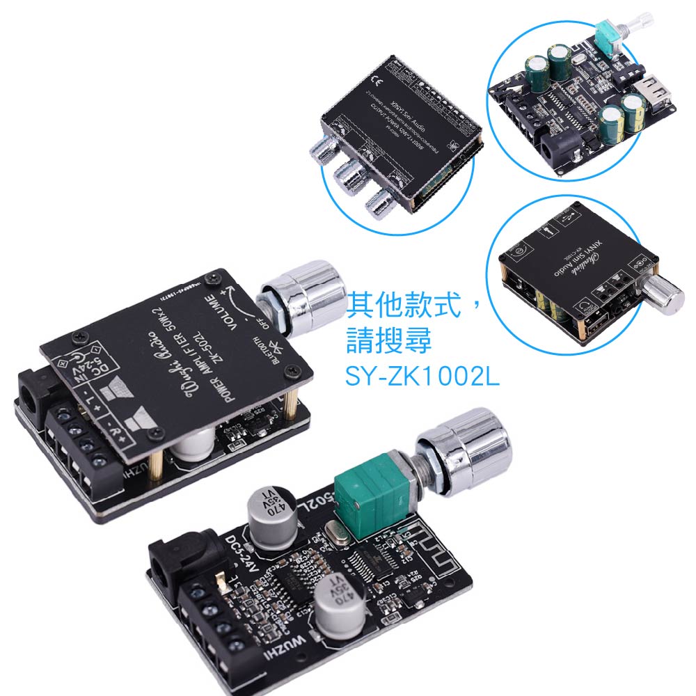 10W~200W 迷你5.0數字功放板｜可濾雜訊｜有殼/無殼