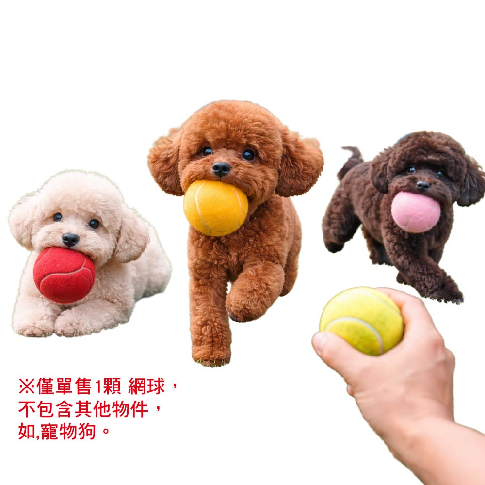 【全新 台灣現貨】寵物玩具BB叫網球｜單顆售
